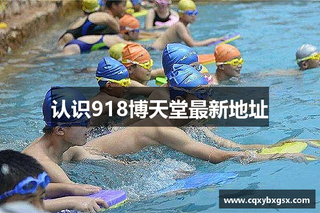 认识918博天堂最新地址